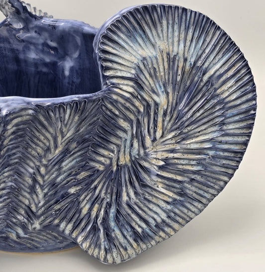 Flow Voile d'Azur Royale