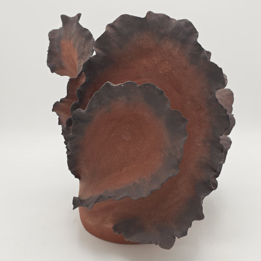 Wave Aura I – Terre de Feu