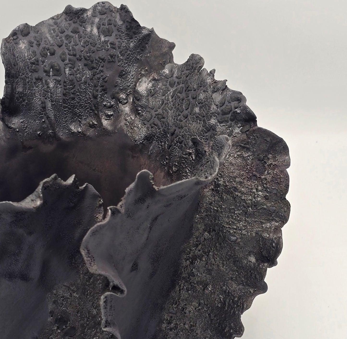 Wave Basalte Signature