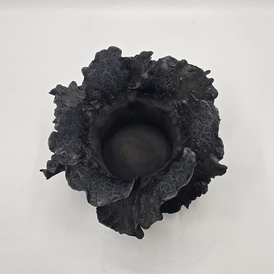 Wave Basalte Signature