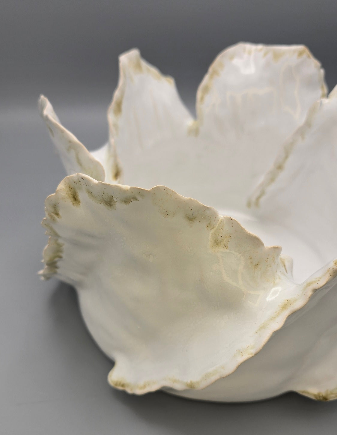 Wave Lumière Signature