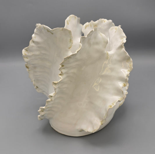 Wave Lumière Signature