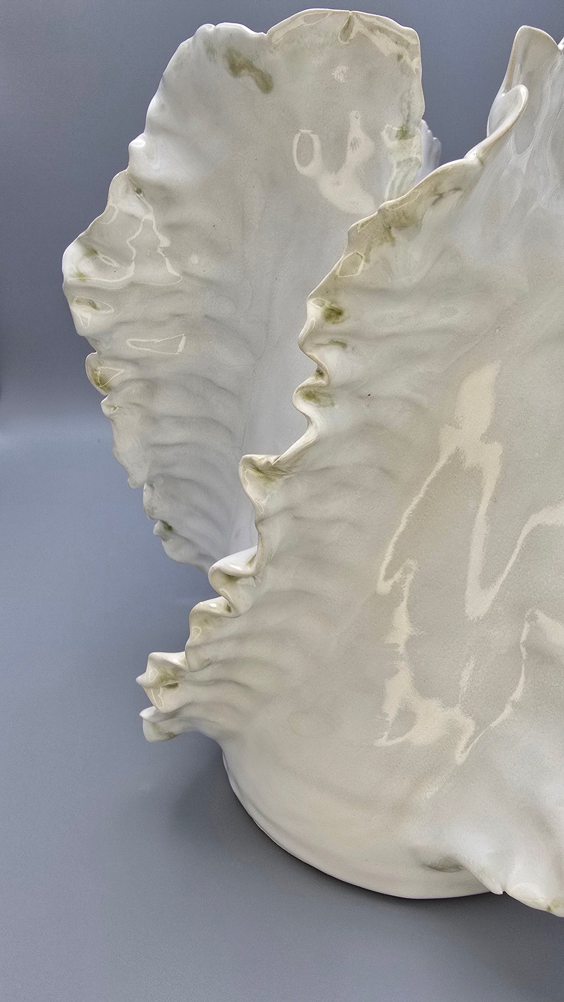 Wave Lumière Signature