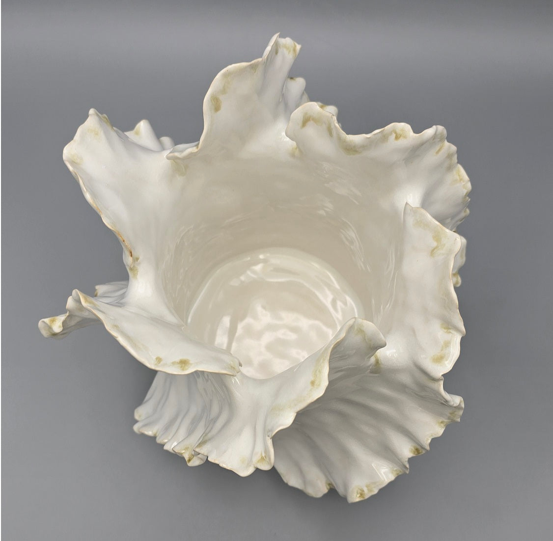 Wave Lumière Signature