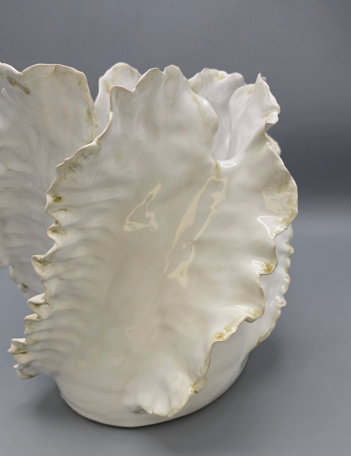 Wave Lumière Signature