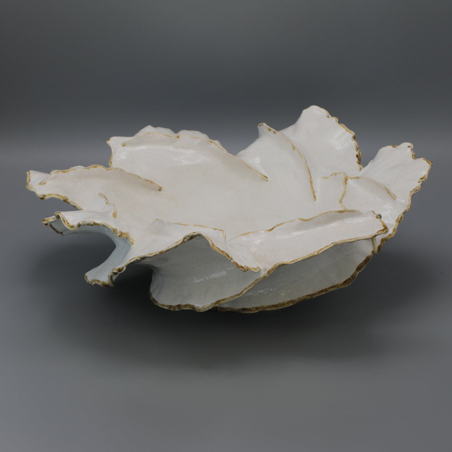 Wave Lumière Vessel