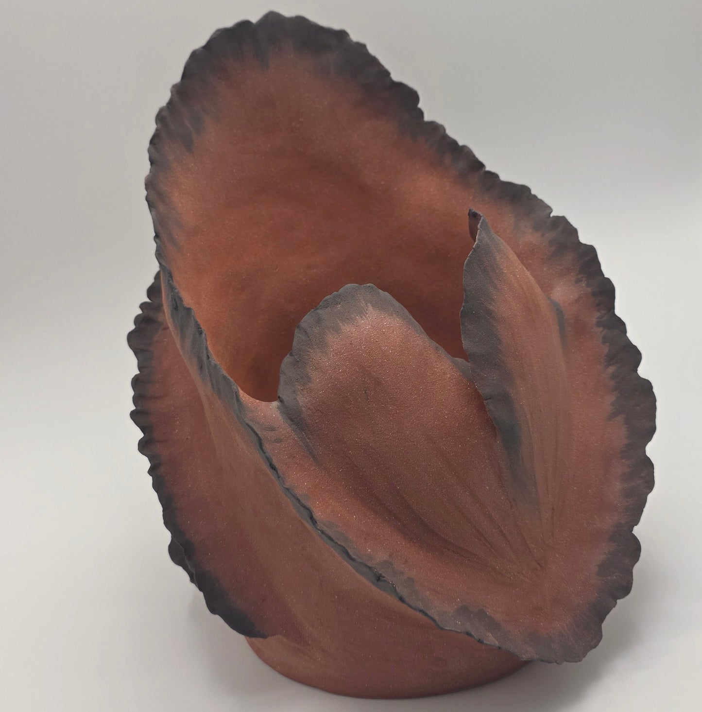 Wave Embrace – Terre de Feu