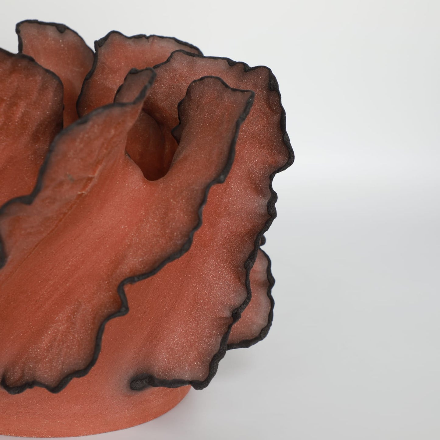 Wave Terre De Feu Royale