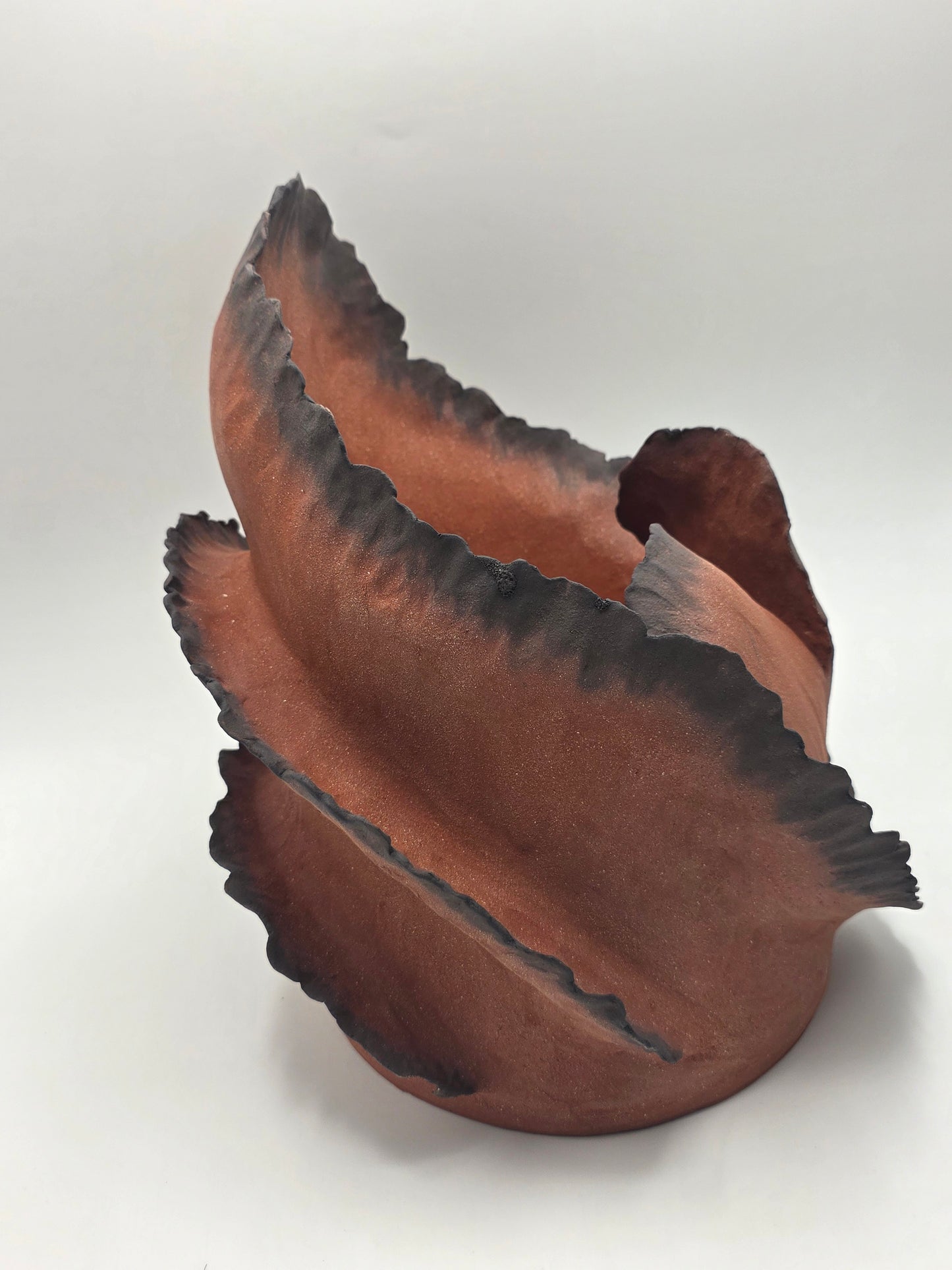 Wave Embrace – Terre de Feu
