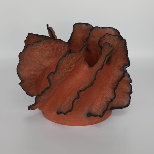 Wave Terre De Feu Royale