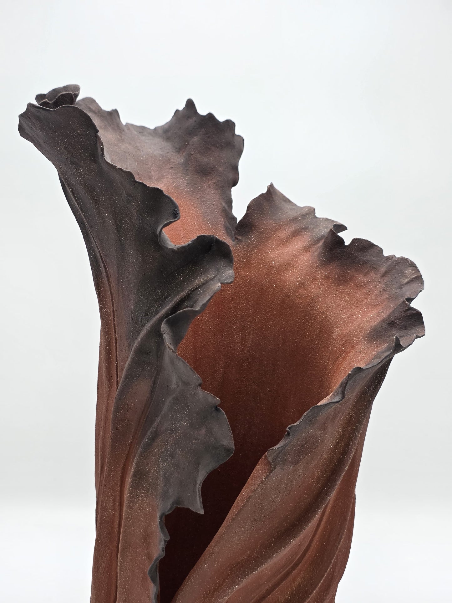 Rise Racine I – Terre de Feu