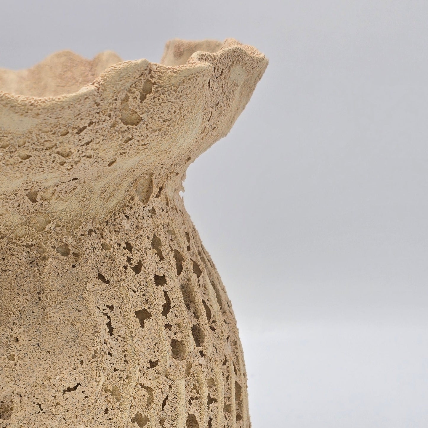 Sculpt Fleur Fossile Vessel