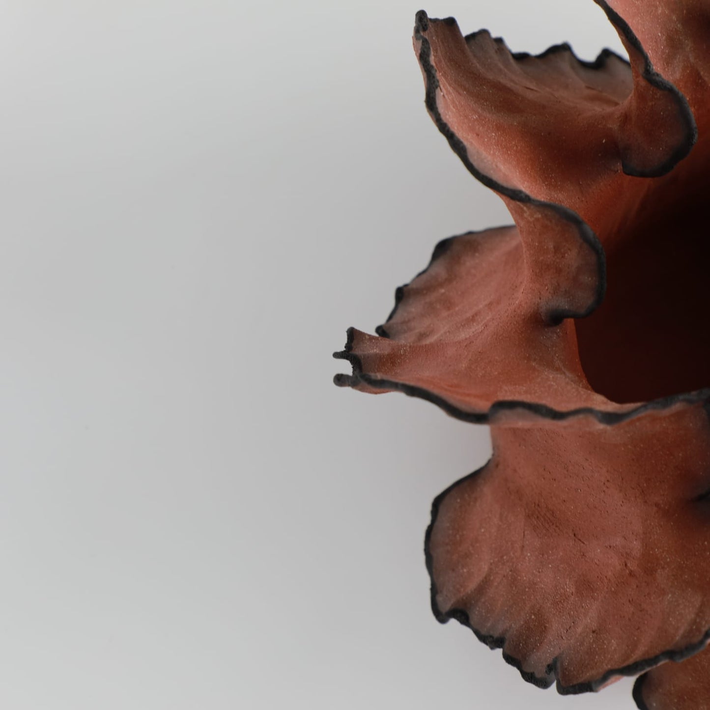 Wave Terre De Feu Royale