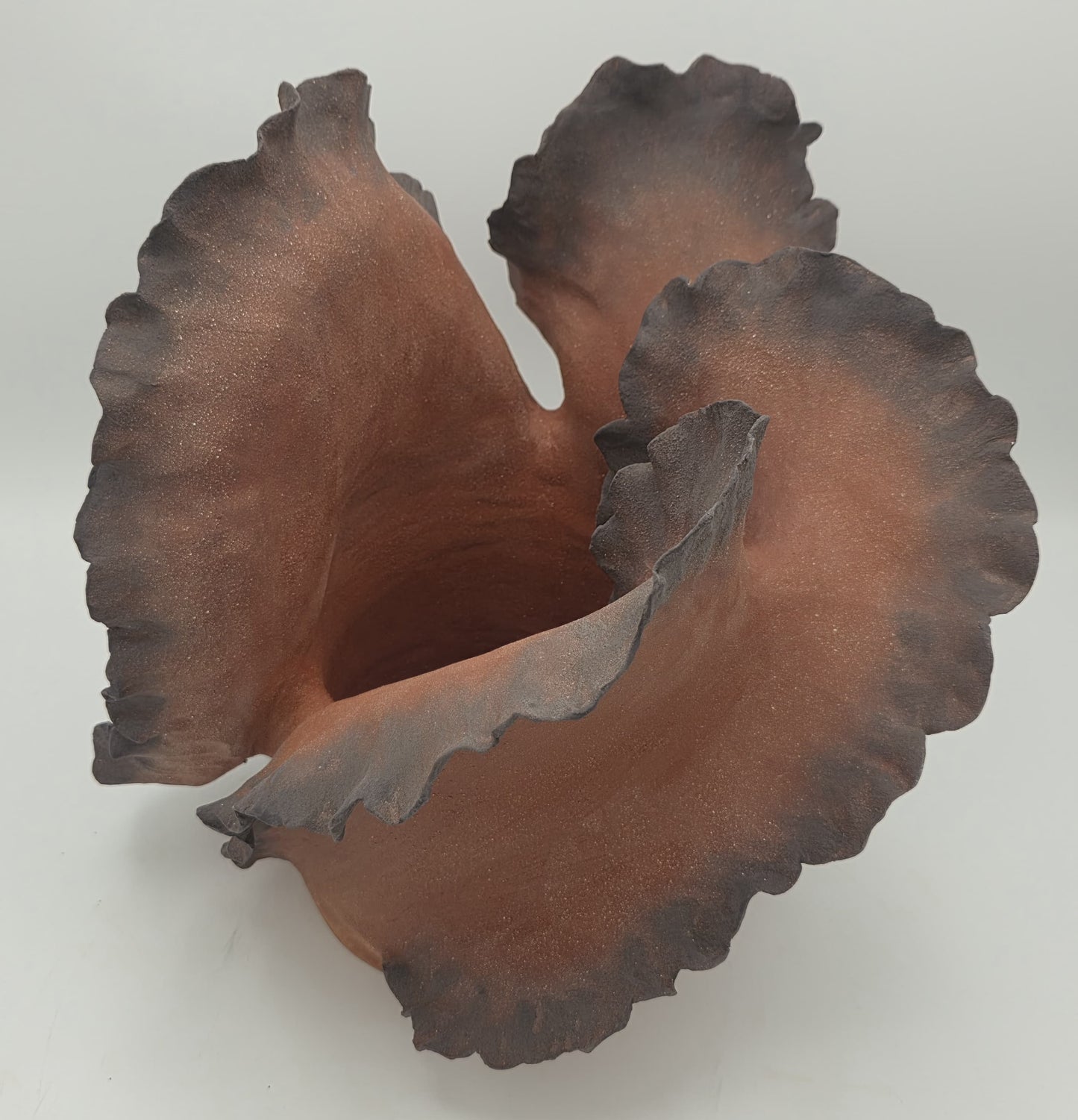 Wave Aura I – Terre de Feu