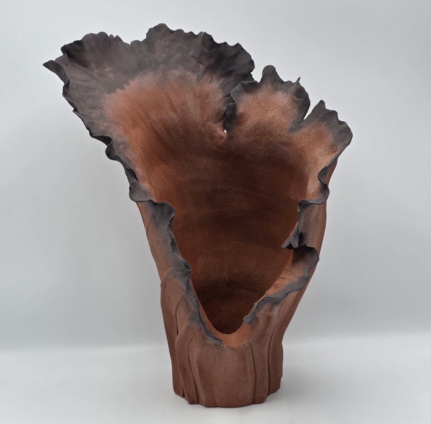 Rise Désir II – Terre de Feu