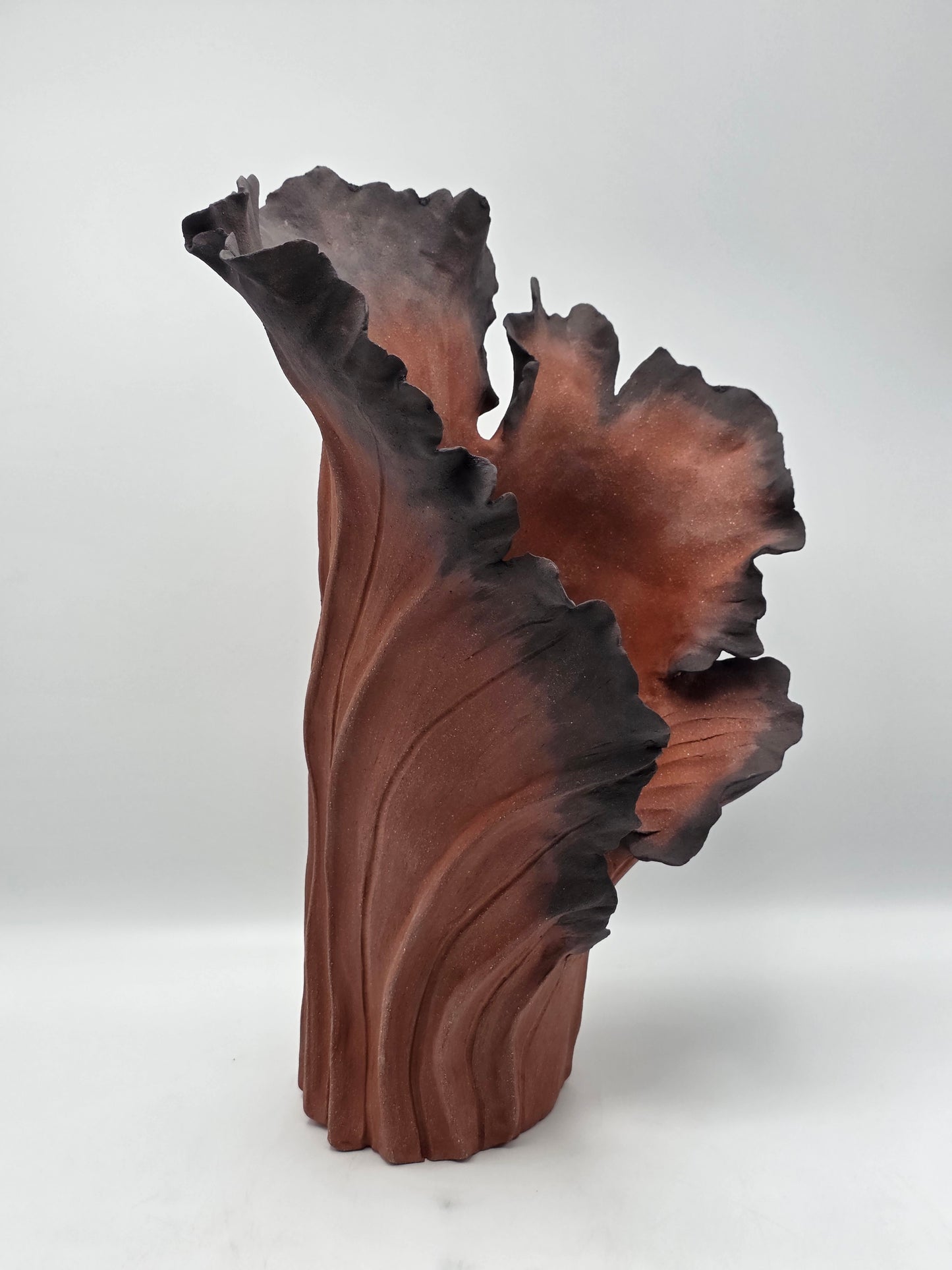 Rise Désir II – Terre de Feu