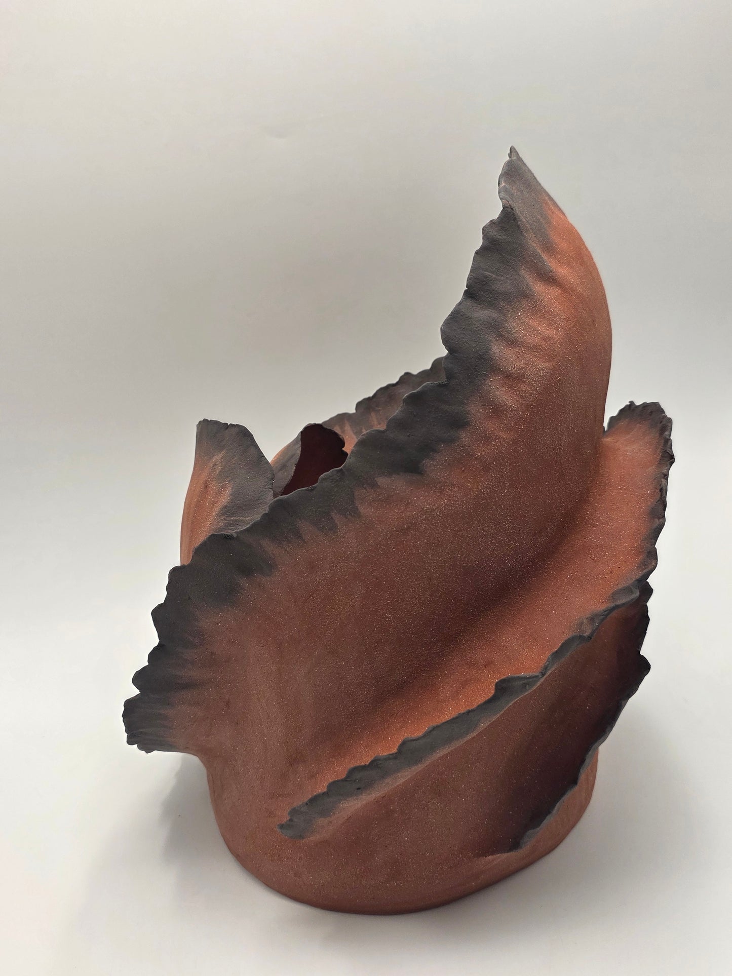 Wave Embrace – Terre de Feu