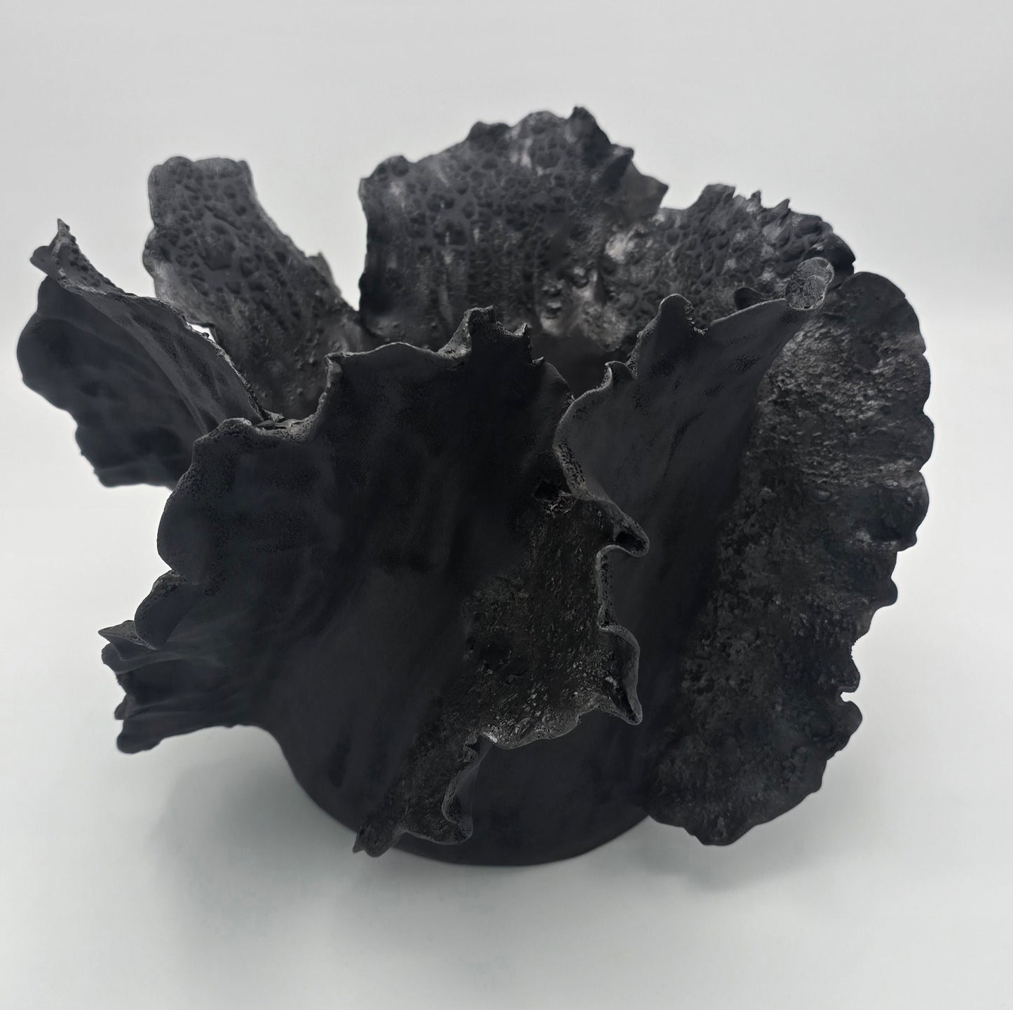 Wave Basalte Signature