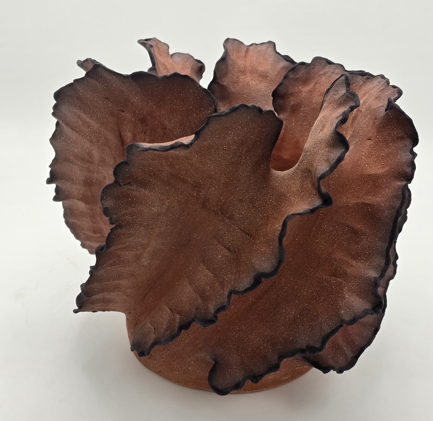 Wave Terre De Feu Signature