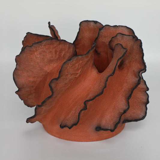 Wave Terre De Feu Royale