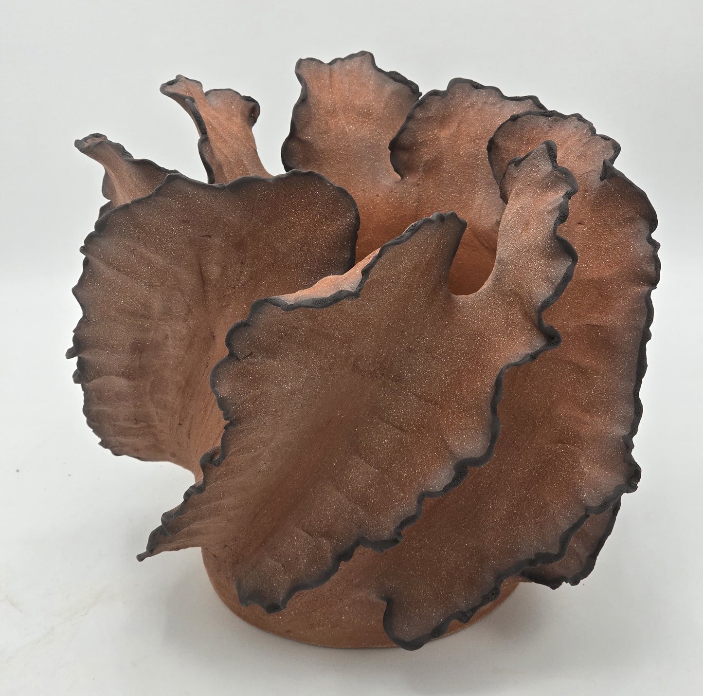 Wave Terre De Feu Signature