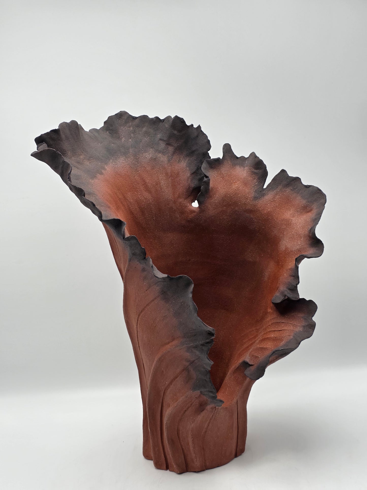 Rise Désir II – Terre de Feu