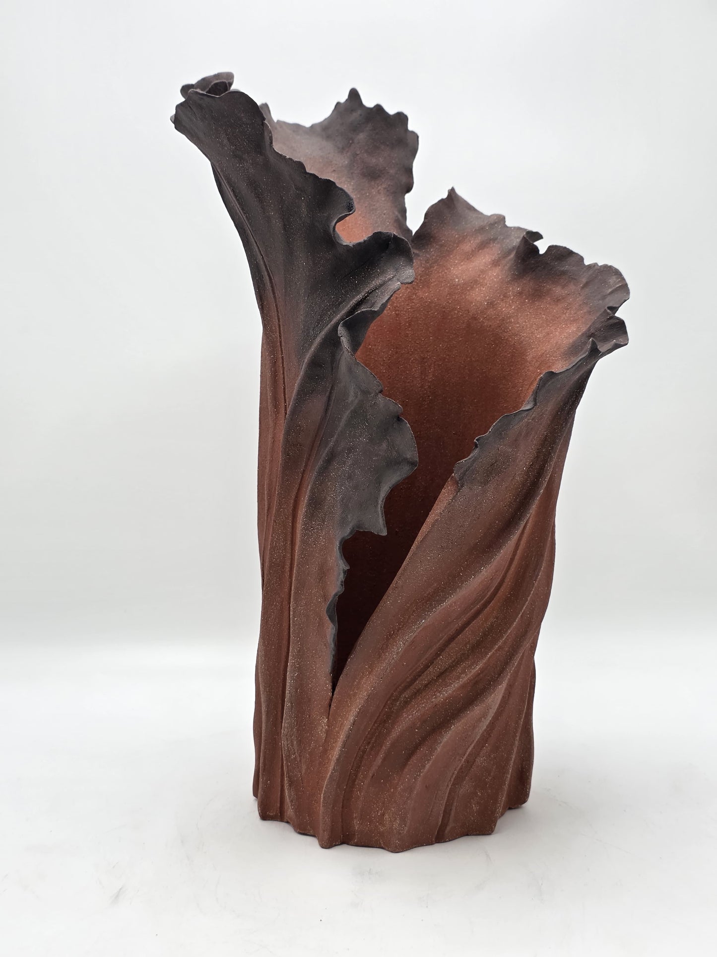 Rise Racine I – Terre de Feu
