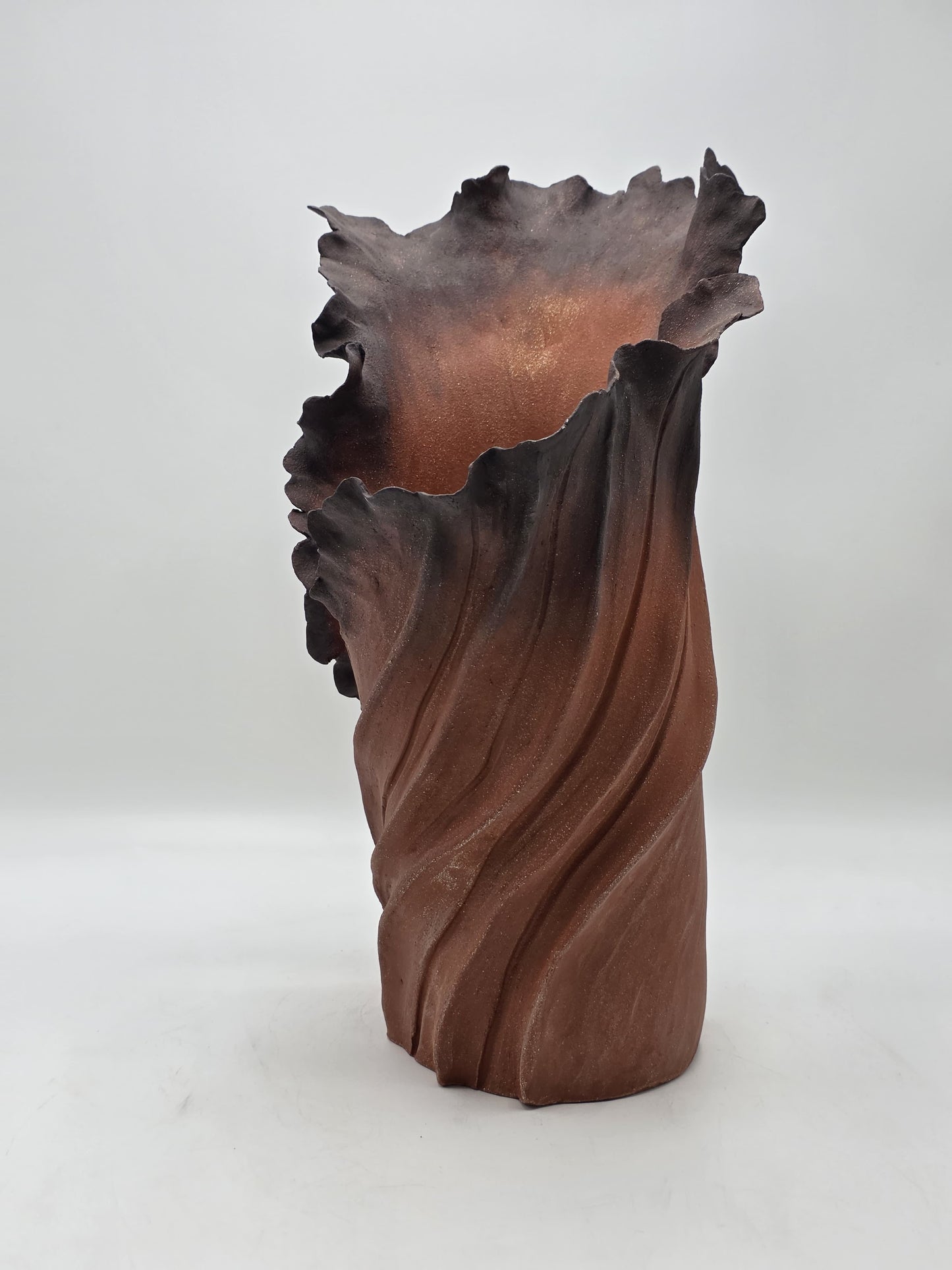 Rise Racine I – Terre de Feu
