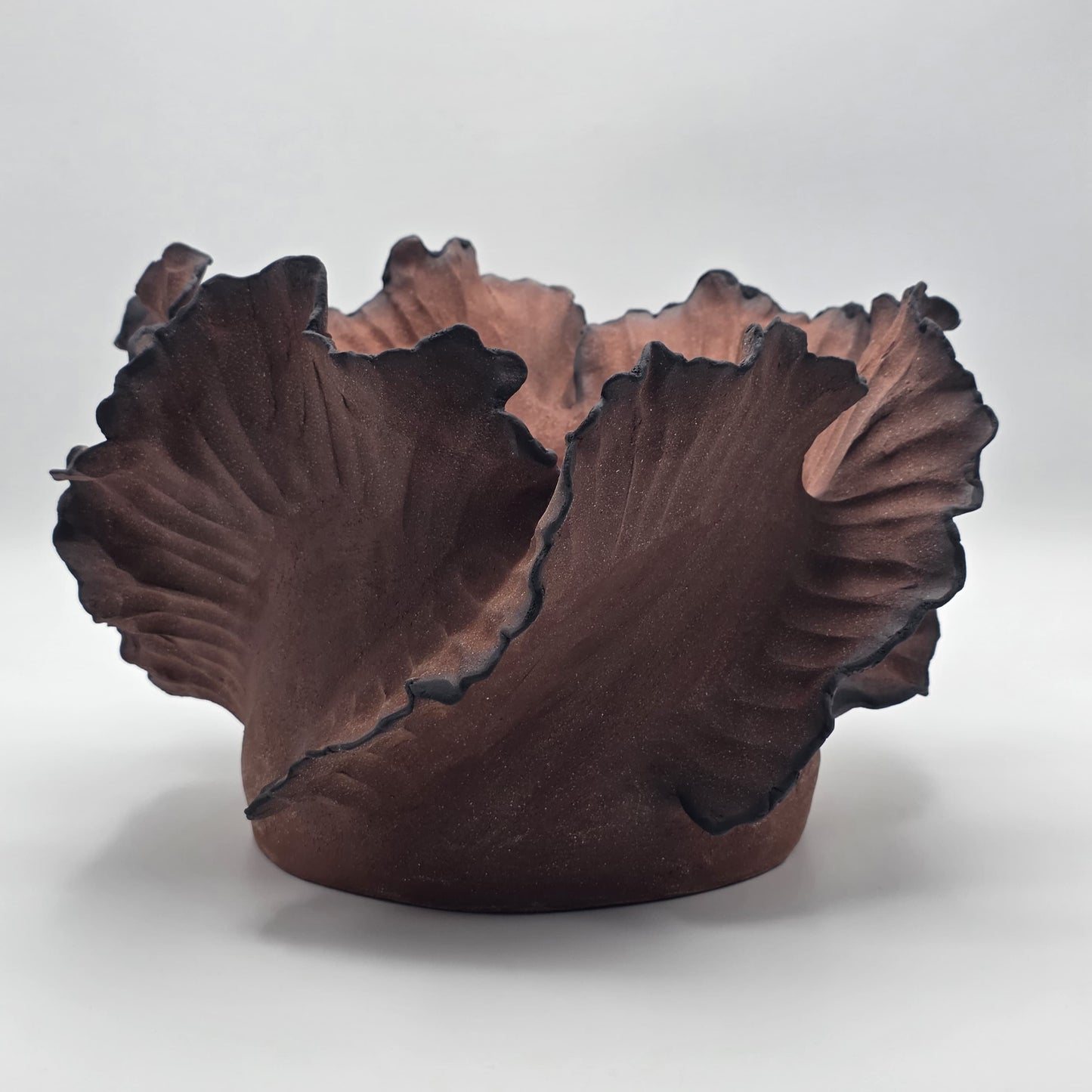 Wave Empreinte Terre De Feu Signature