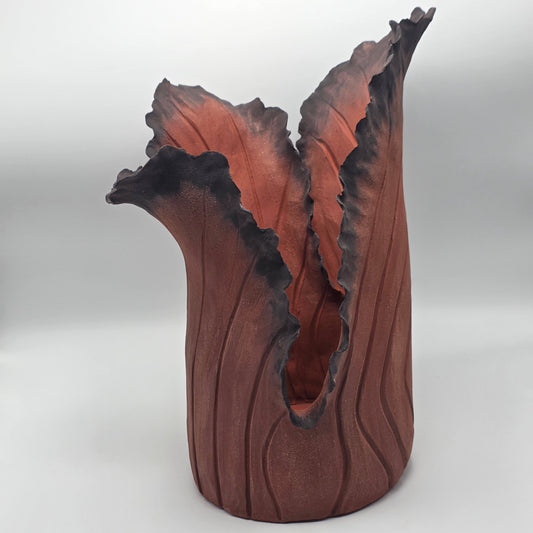 Rise Désir IV – Terre de Feu