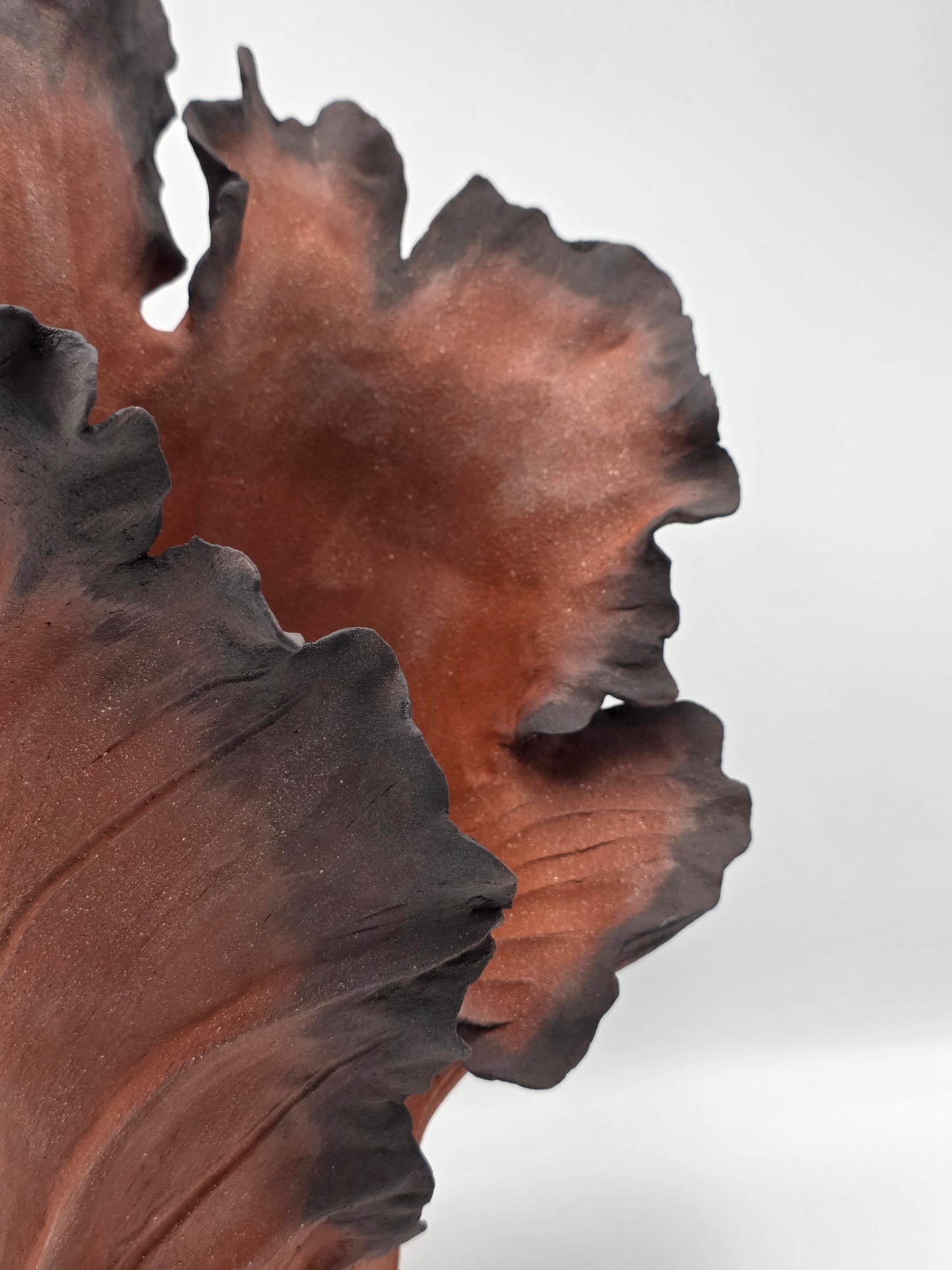 Rise Désir II – Terre de Feu