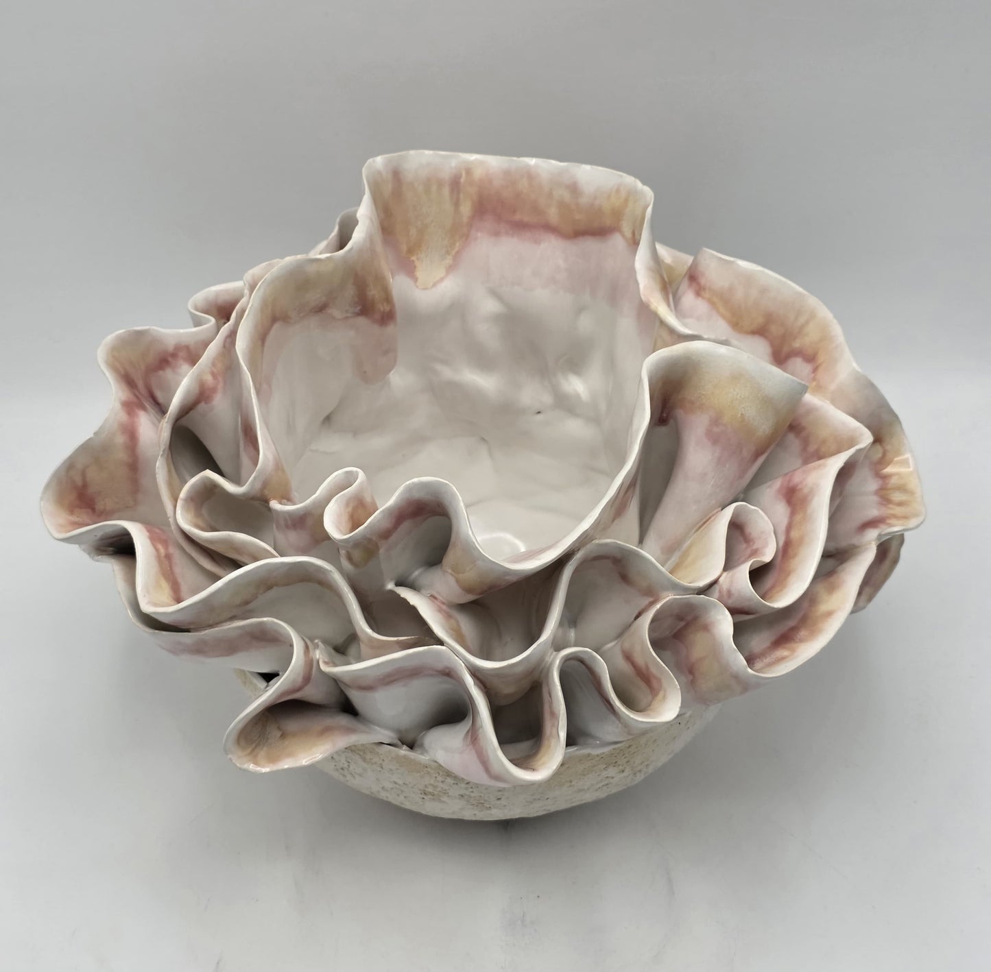 Fold Voile Rosée Royale