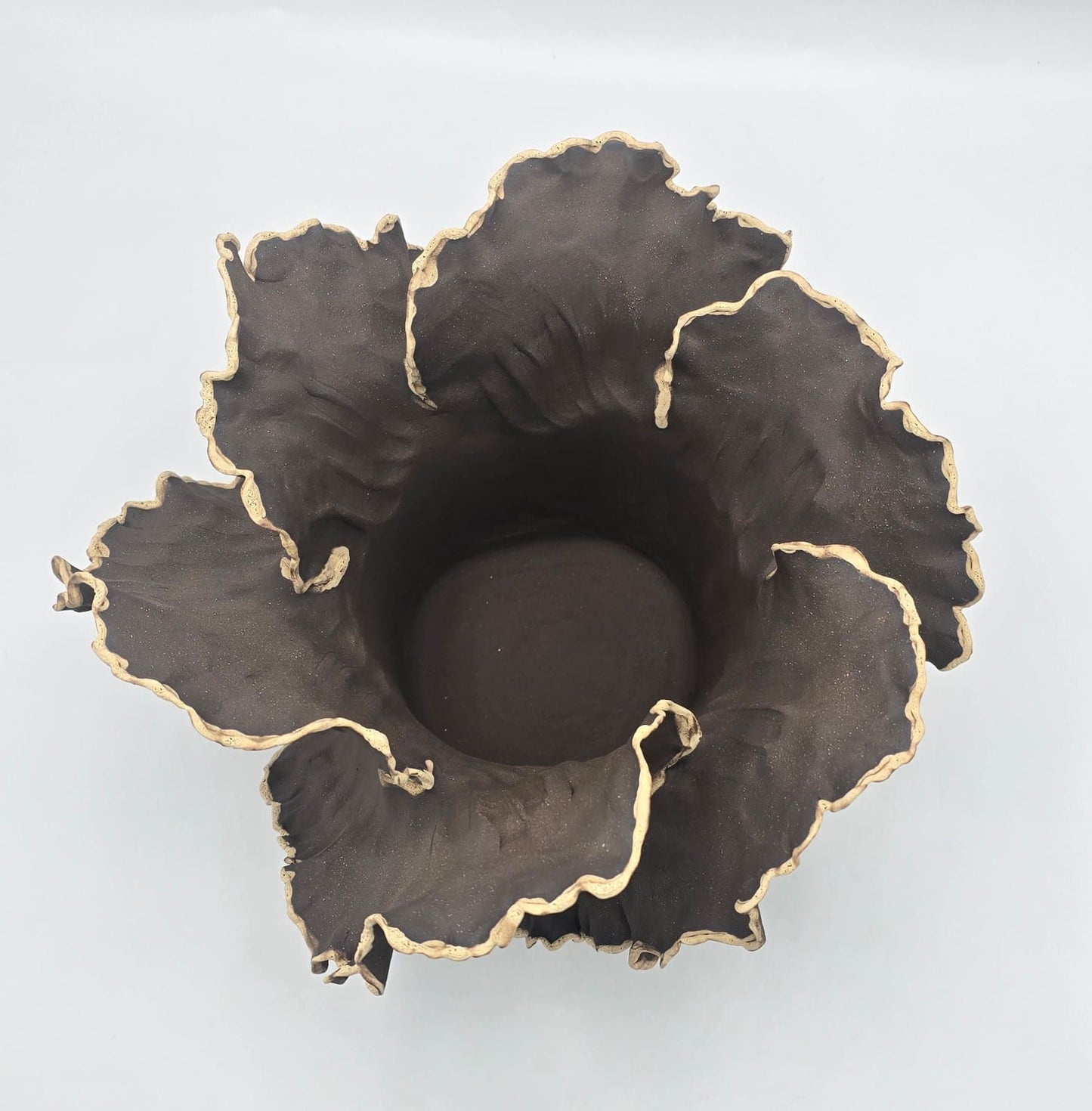 Wave Terre Brûlée Signature