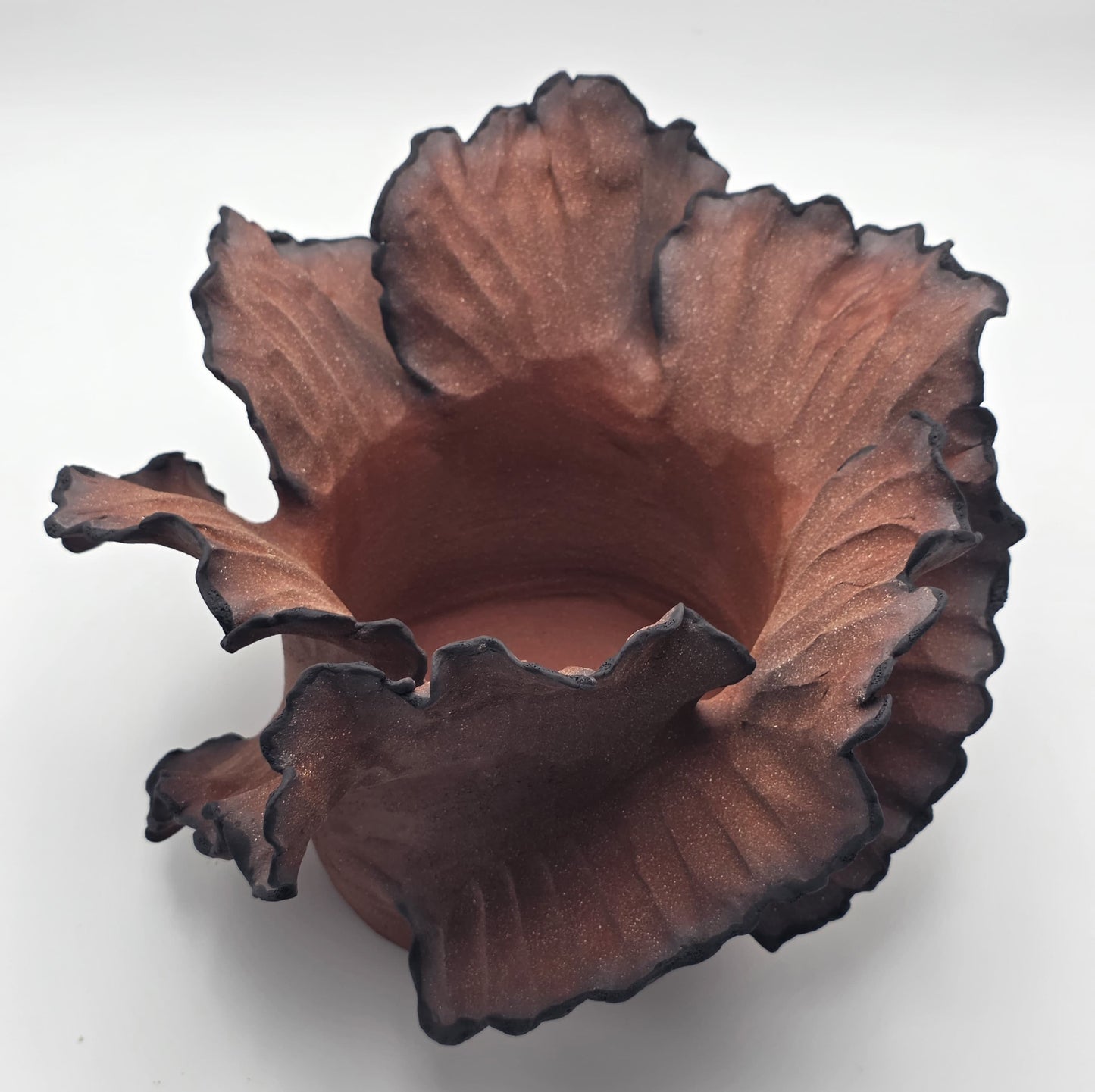 Wave Empreinte Terre De Feu Royale