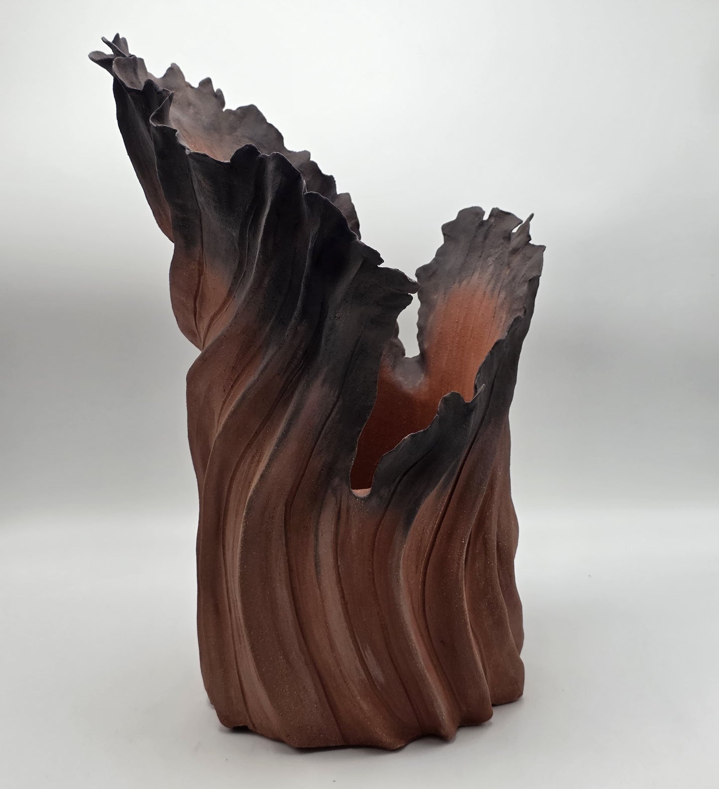 Rise Désir II – Terre de Feu