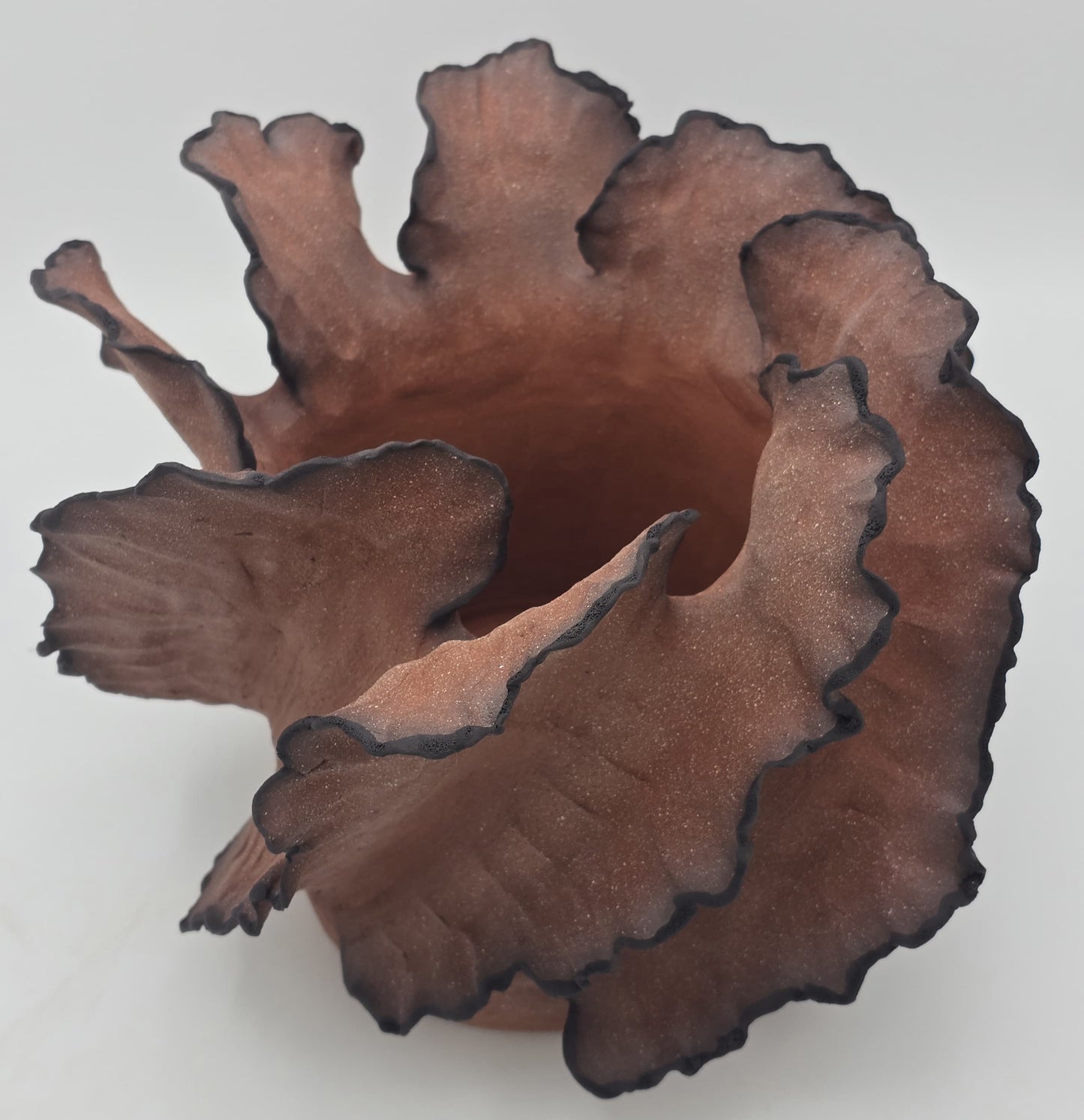 Wave Terre De Feu Signature