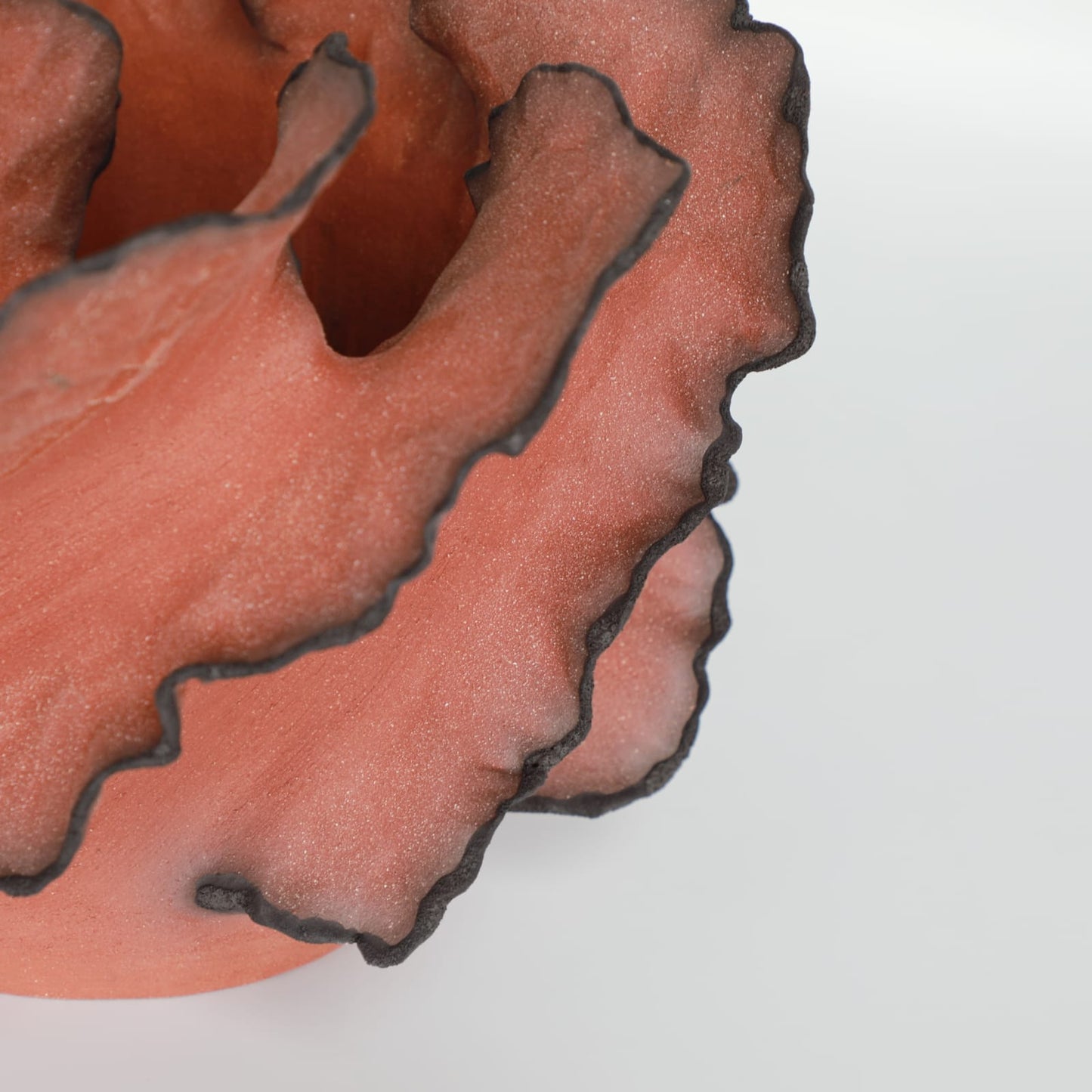 Wave Terre De Feu Royale