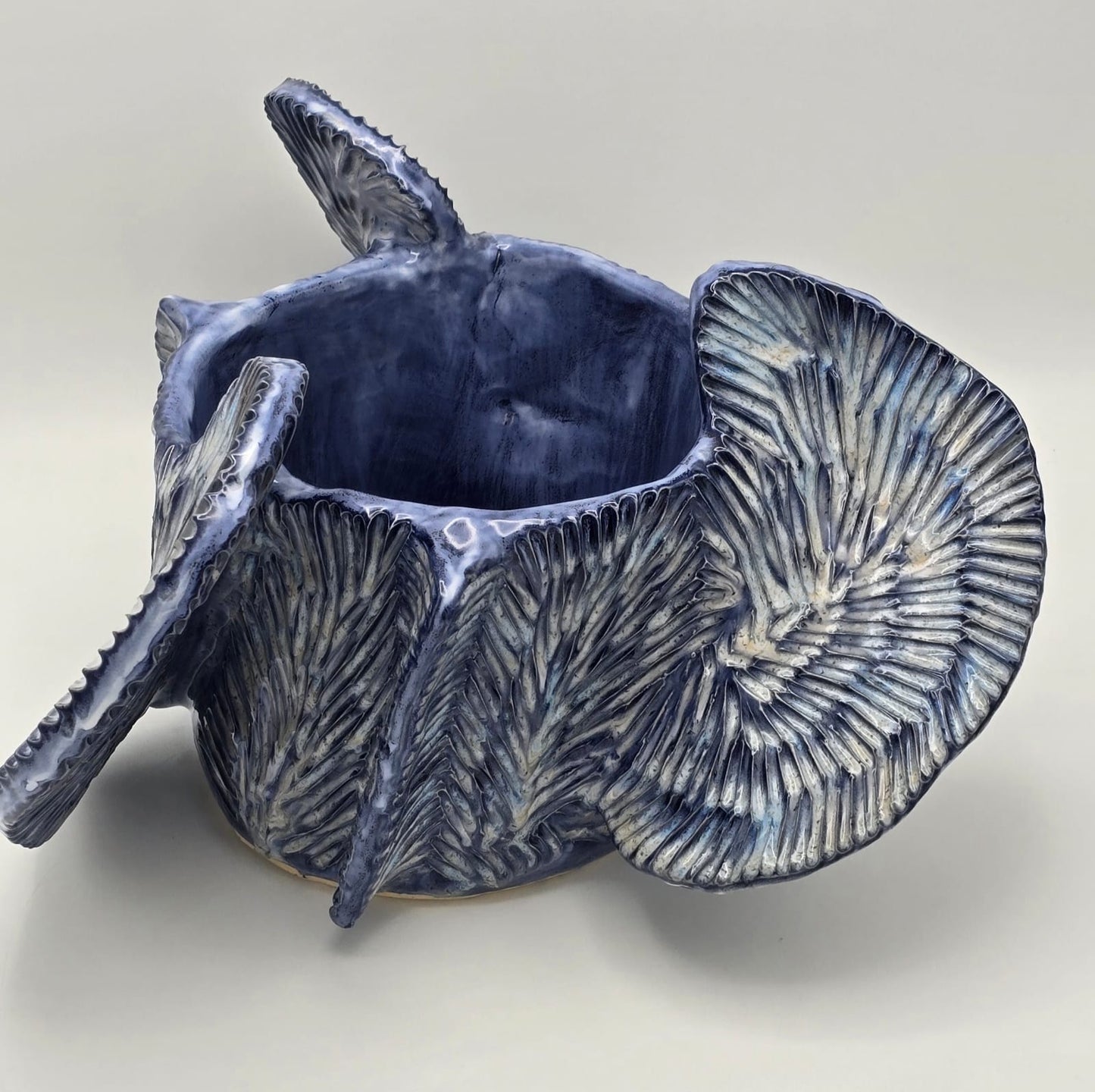 Flow Voile d'Azur Royale