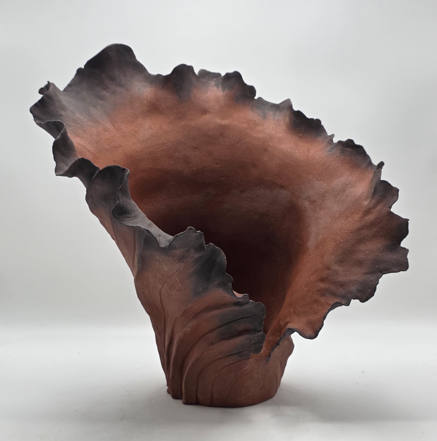 Rise Désir I – Terre de Feu