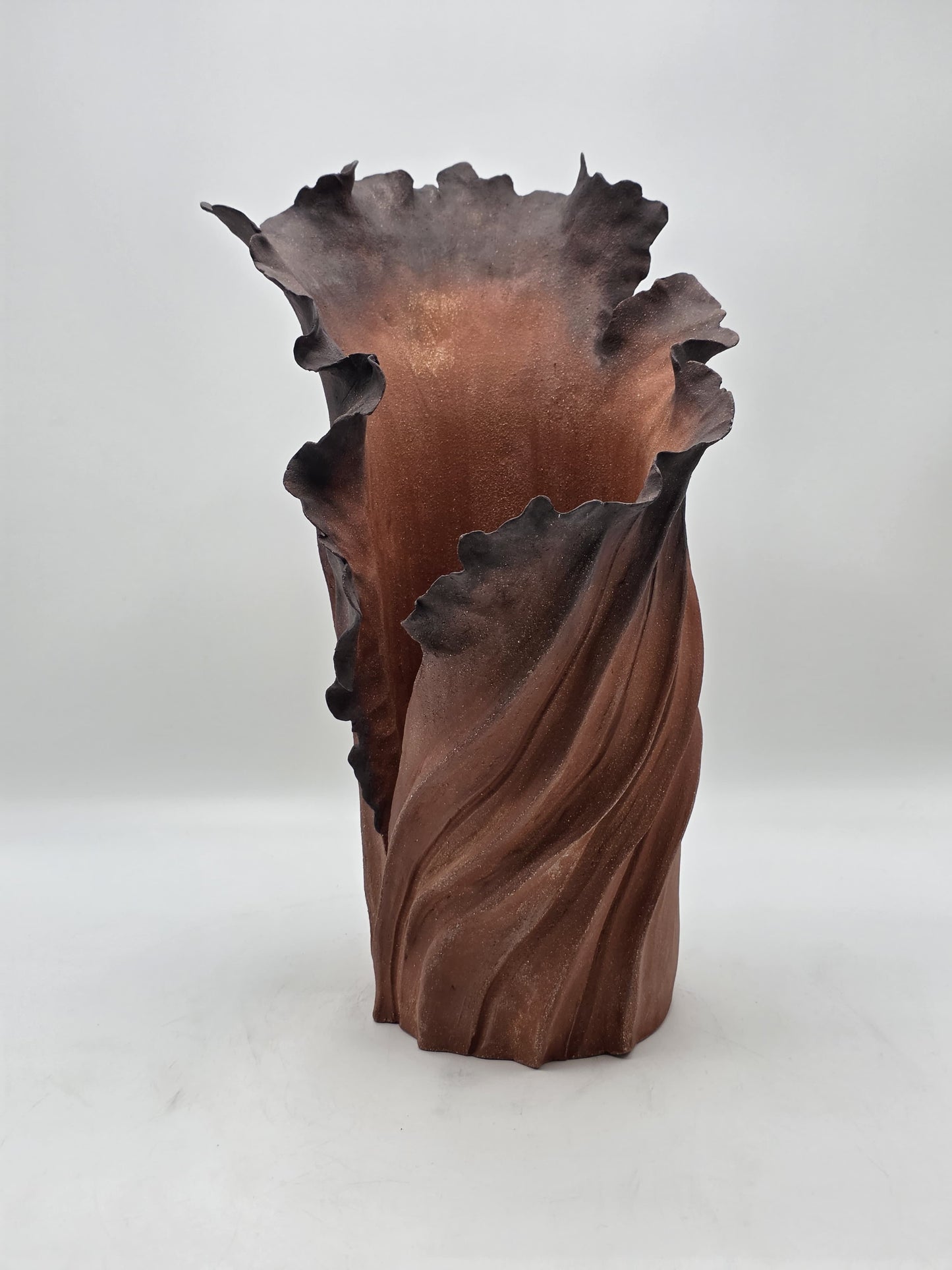 Rise Racine I – Terre de Feu