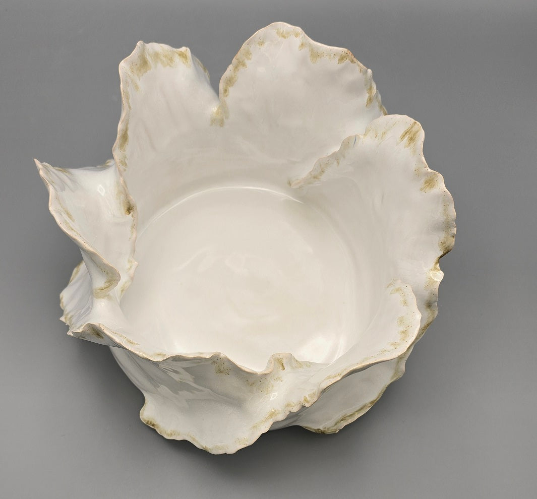 Wave Lumière Signature