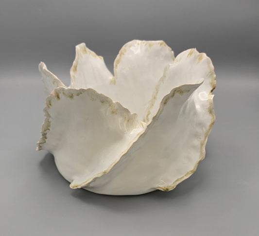 Wave Lumière Signature